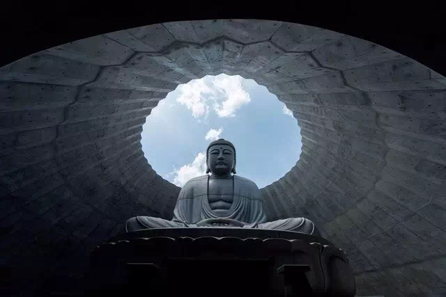 神圣的佛竟淹沒于薰衣草的花海中，安藤忠雄這次顛覆的不是設計而是信仰